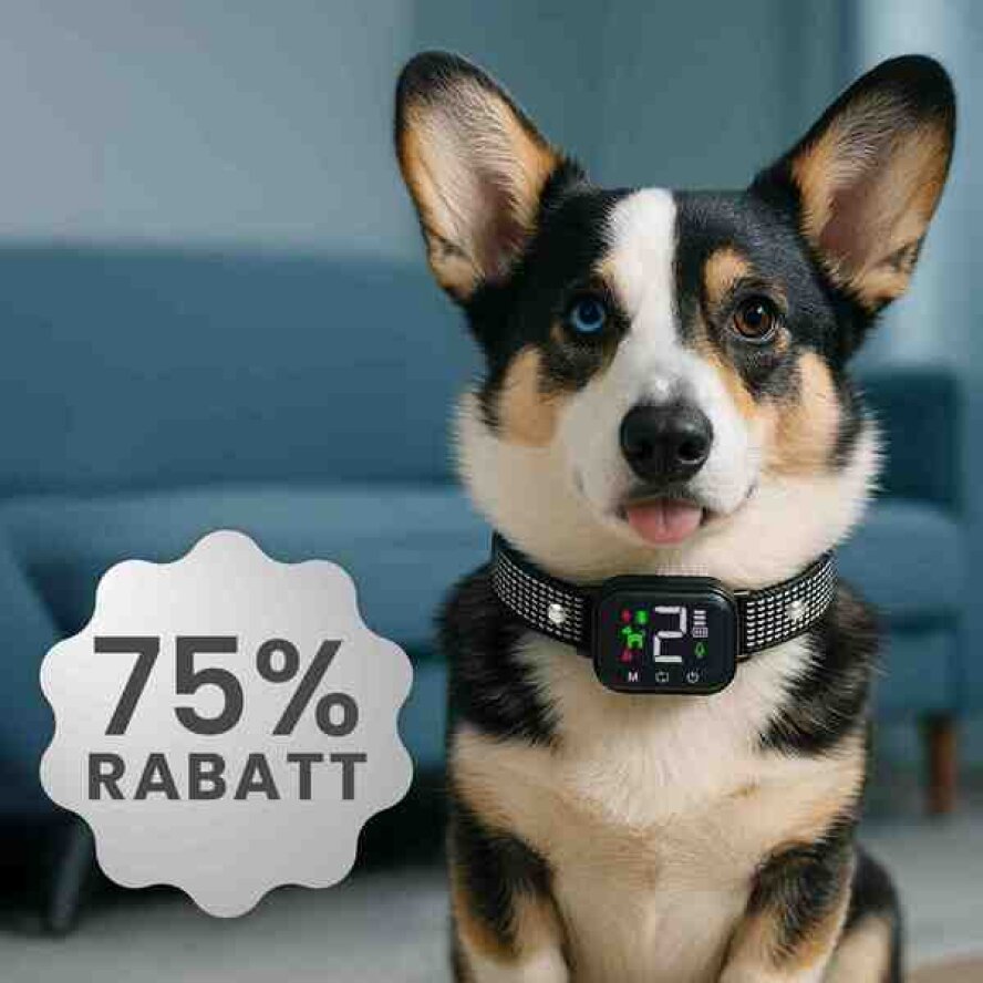 PuppyBark image