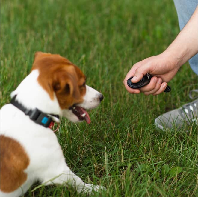 PuppyBark image