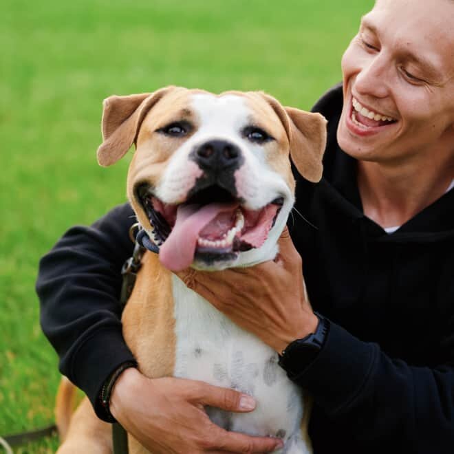 PuppyBark image
