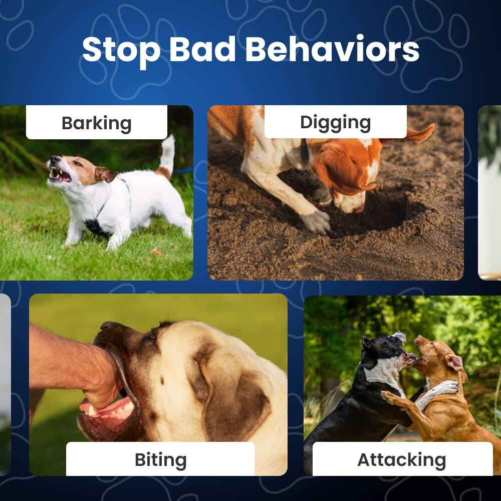 PuppyBark image